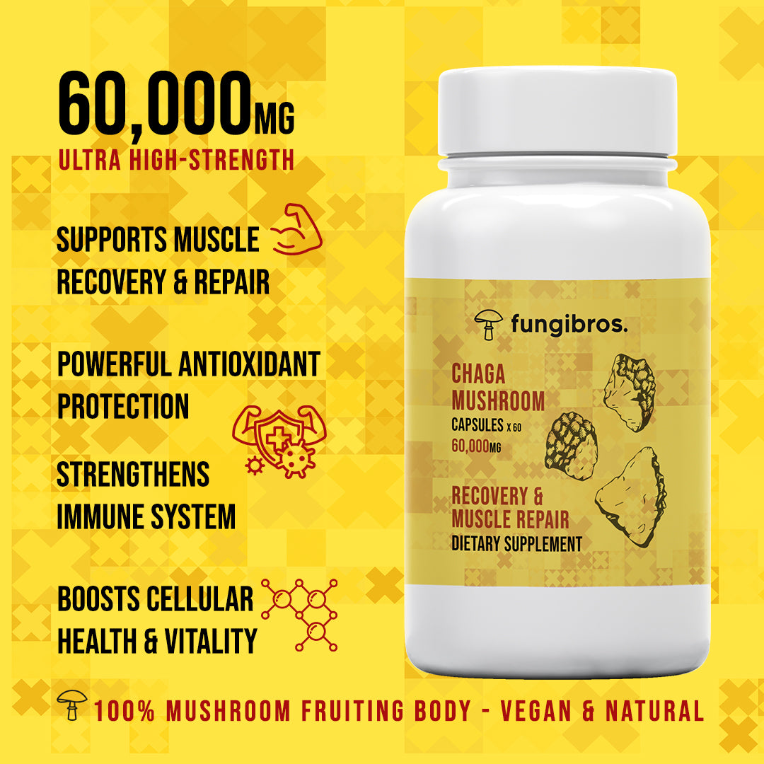 Chaga Mushroom Capsules – Immune & Antioxidant Support (60 x 1000mg)