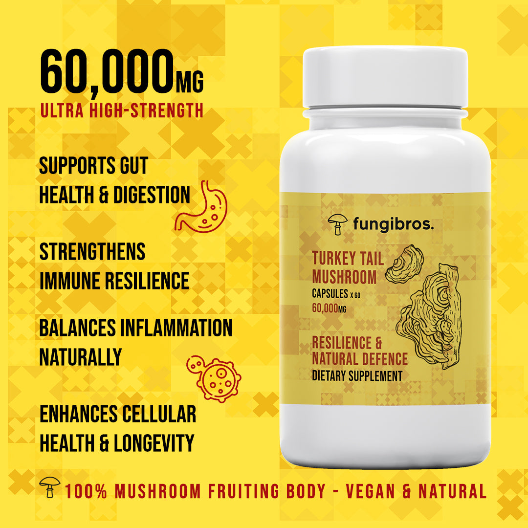 Turkey Tail Mushroom Capsules – Immune, Gut & Microbiome Support (60 x 1000mg)