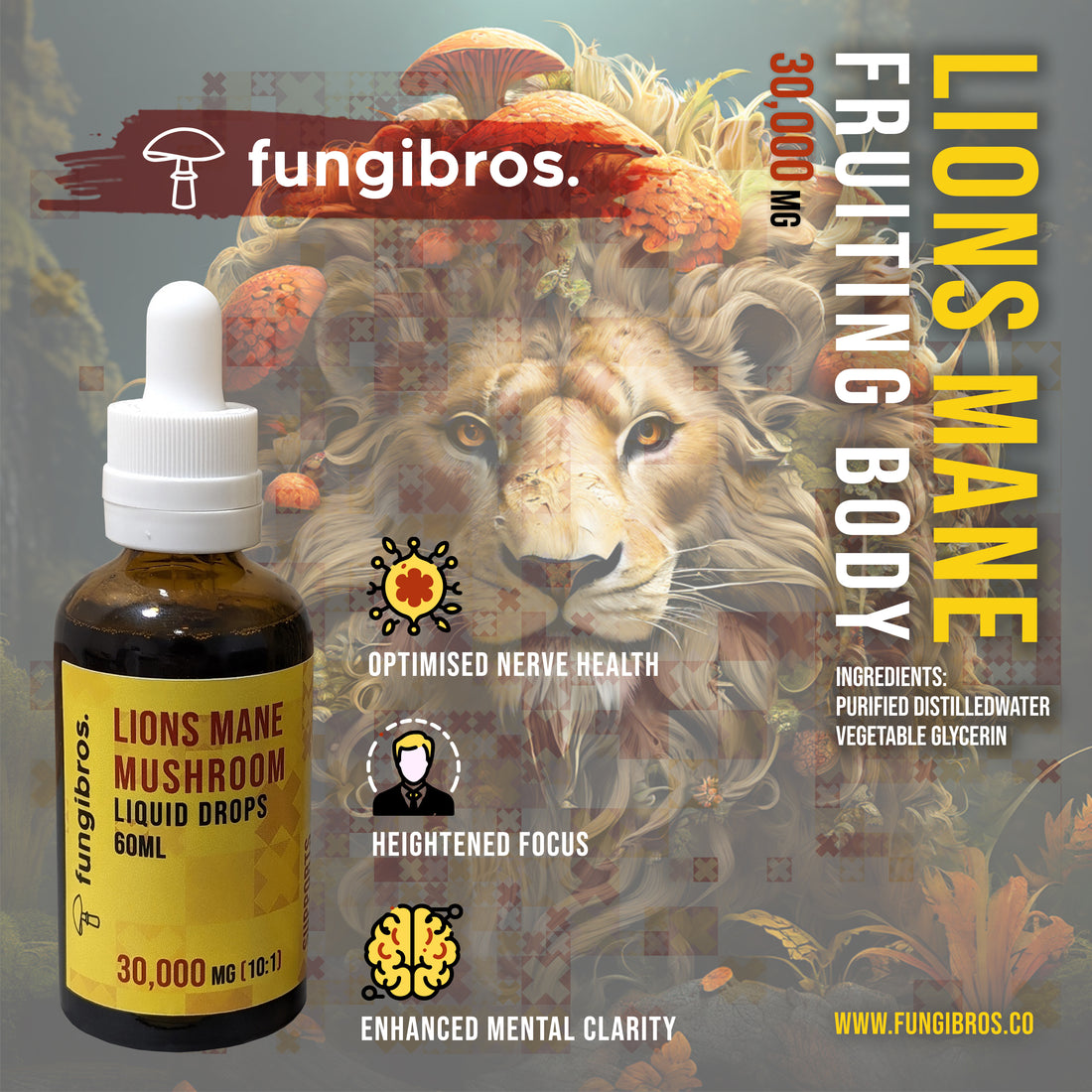 Discover the Enhanced Lions Mane Drops: Elevating Functional Mushroom Supplementation - FungiBros.