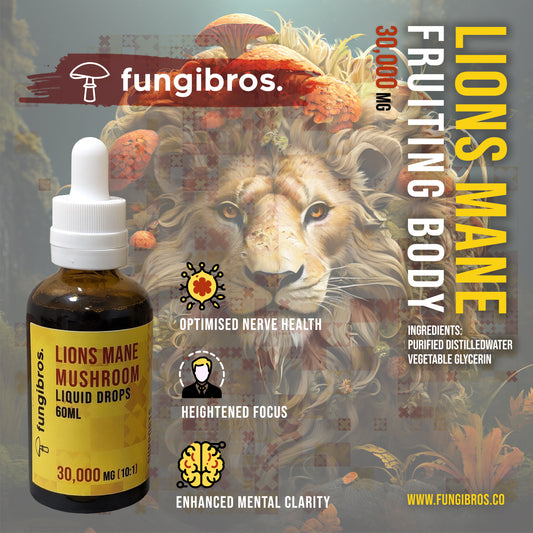 Discover the Enhanced Lions Mane Drops: Elevating Functional Mushroom Supplementation - FungiBros.