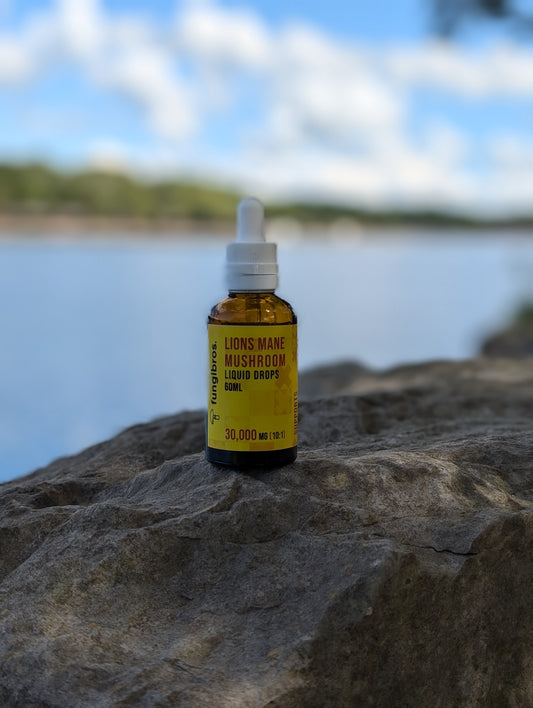 Premium Lion's Mane Drops - Unleash the Power of Focus and Clarity with FungiBros.