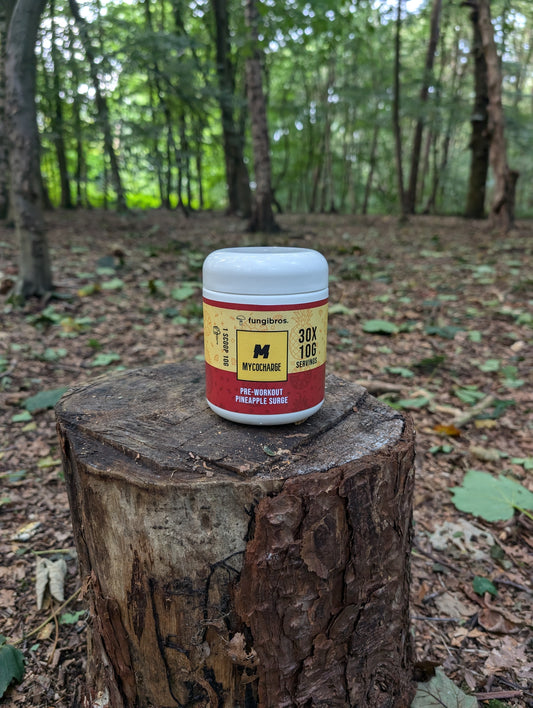 The Superior Stimulant Free Pre Workout Alternative - MycoCharge