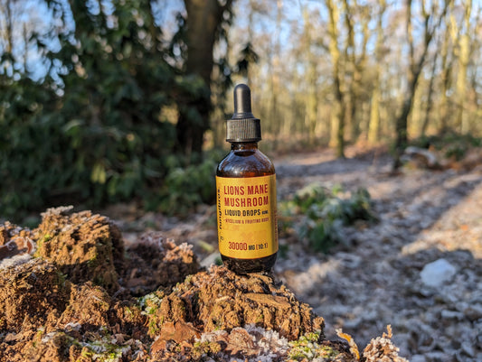 lions mane supplement