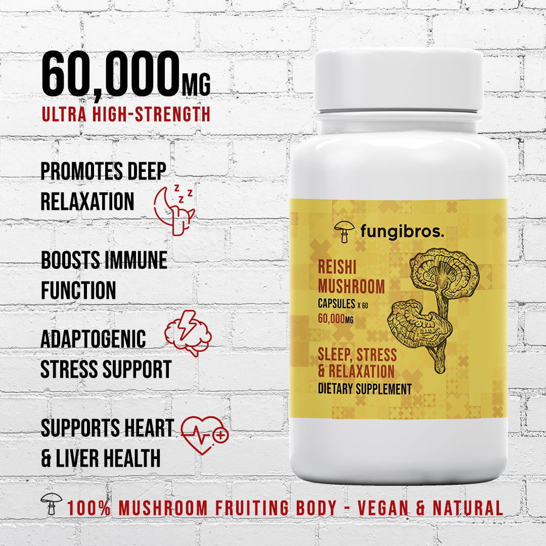 Menopause Support Package – Lion’s Mane Drops & Reishi Capsules