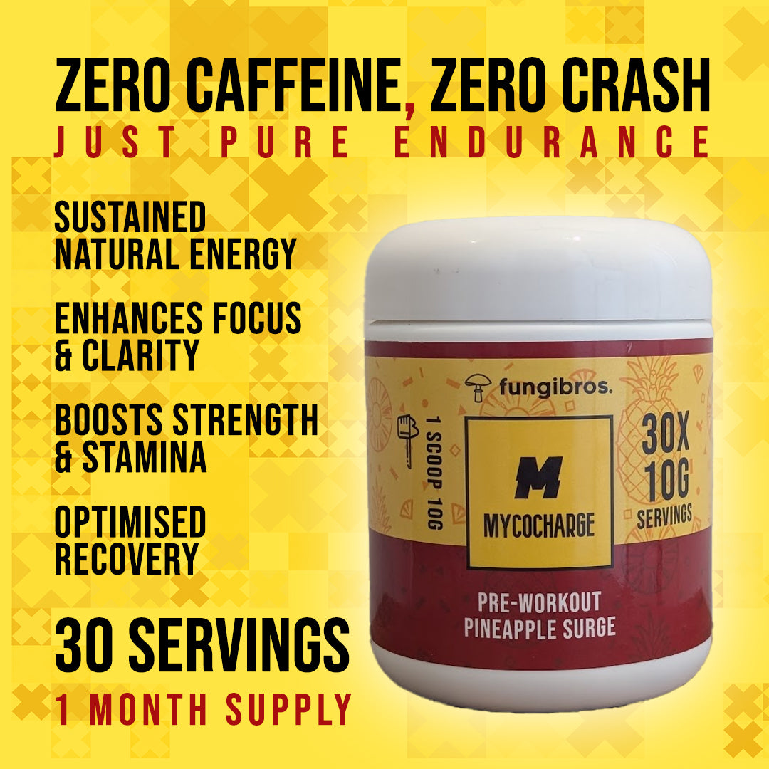 MycoCharge – 0-Stim Functional Mushroom Pre-Workout | Pineapple Surge