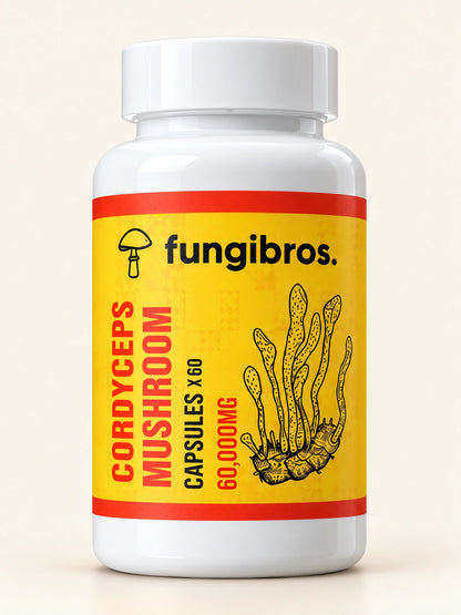 FungiBros Cordyceps mushroom capsule bottle studio mockup with red label bands and white cap.